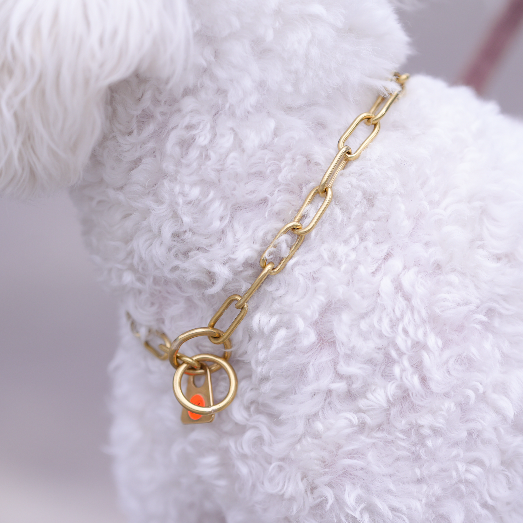 Collar, medium - Solid brass, 2.0 mm - Image 9